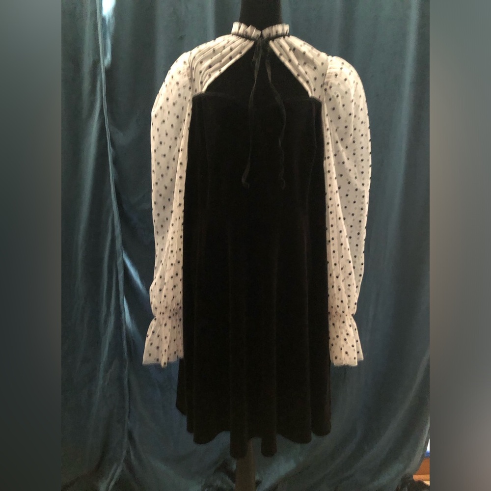 Black Velvet Dress with puff Polka Dot in long Sleeves 2X